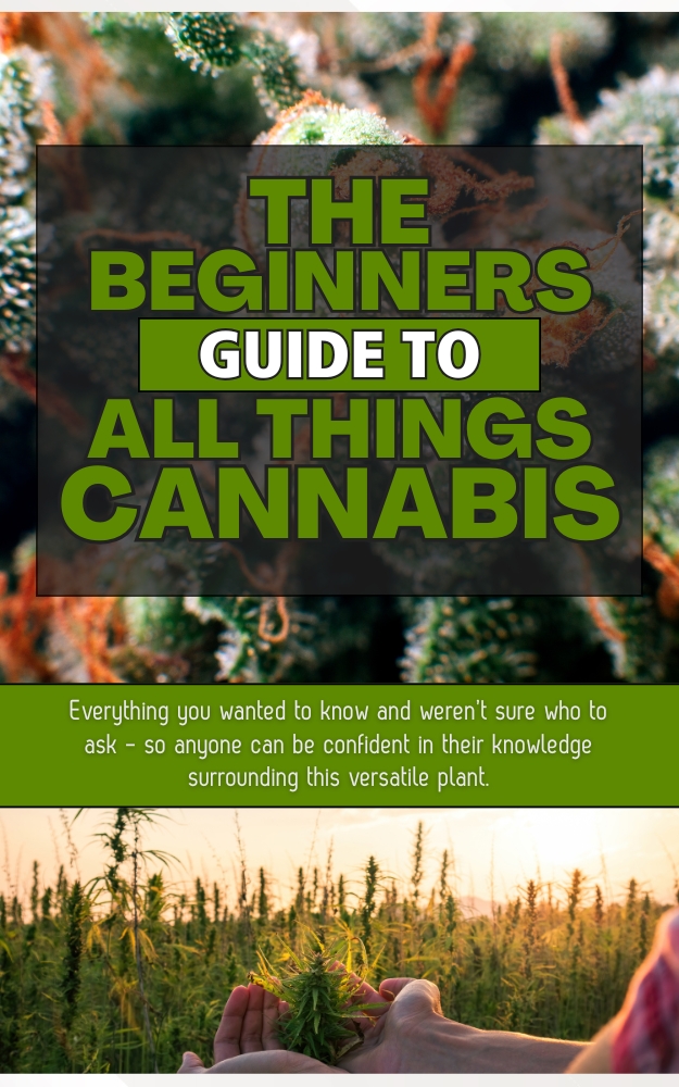 The Beginner's Guide to All Things Cannabis by Julia Granowicz-Johnson, KDP Cover
